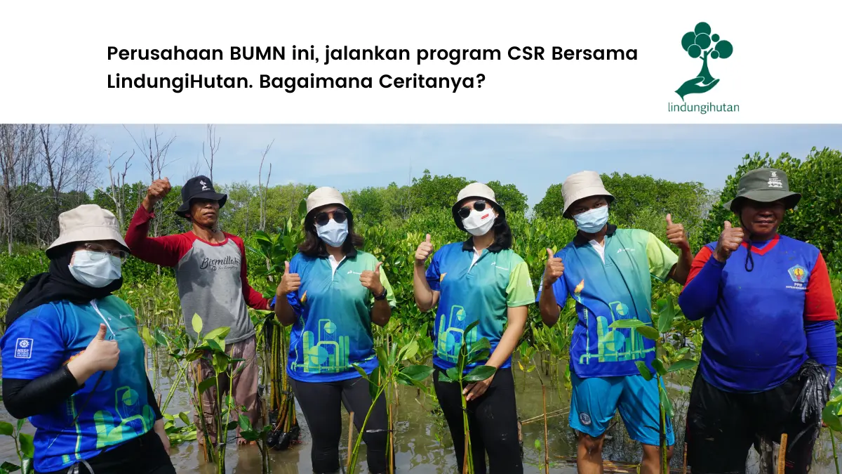 kolaborasi csr perusahaan bumn dengan lindungihutan