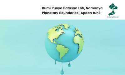 Planetary boundaries