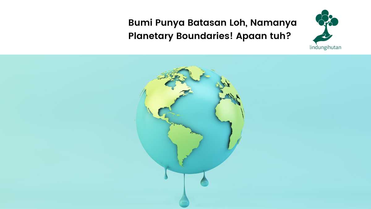 Planetary boundaries