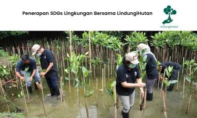 penerapan sdgs lingkungan