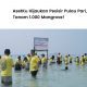 AsetKu menanam mangrove di Pulau Pari