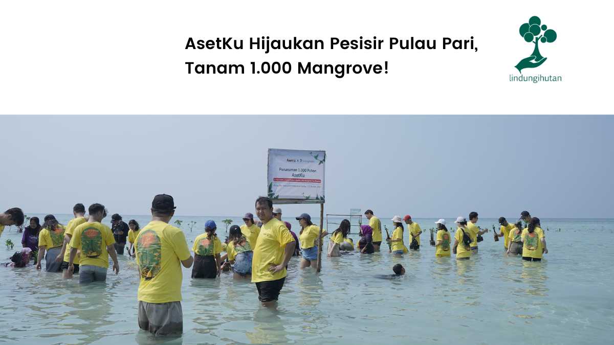 AsetKu menanam mangrove di Pulau Pari