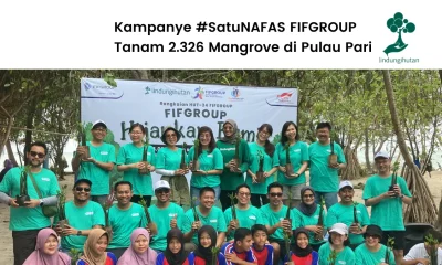 Program ESG FIFGROUP