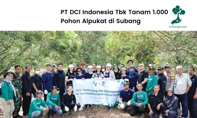 CSR PT DCI Indonesia