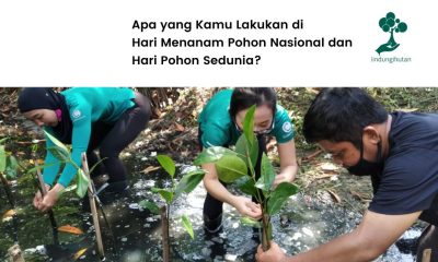 Hari Menanam Pohon Nasional