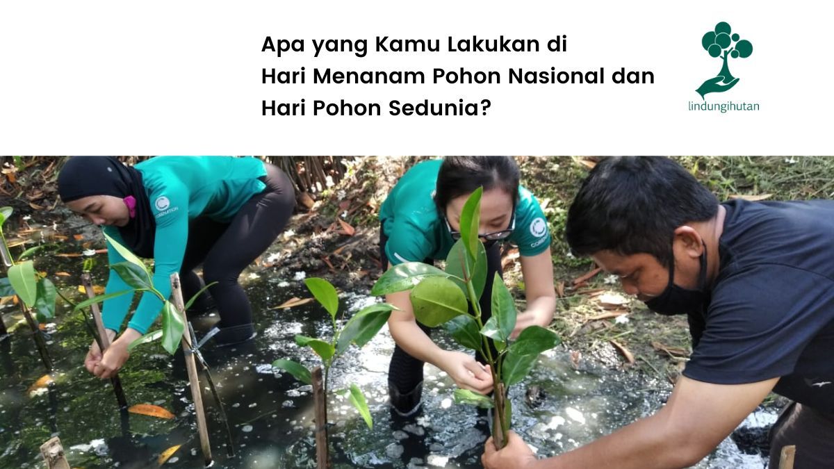 Hari Menanam Pohon Nasional
