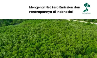 Net Zero Emission adalah