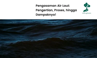 Pengasaman air laut adalah