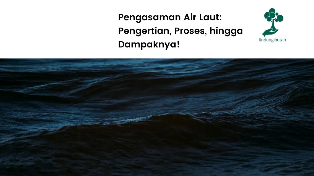 Pengasaman air laut adalah