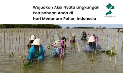 Program Musim Penghijauan LindungiHutan