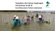 Program Musim Penghijauan LindungiHutan