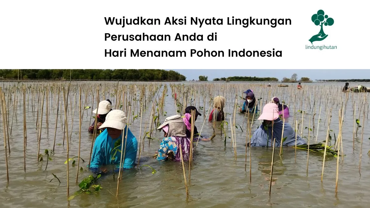 Program Musim Penghijauan LindungiHutan