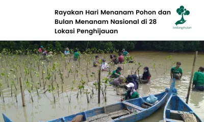 Program Musim Penghijauan LindungiHutan