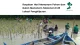 Program Musim Penghijauan LindungiHutan