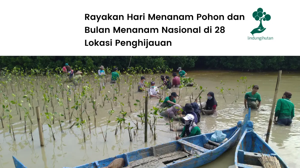 Program Musim Penghijauan LindungiHutan