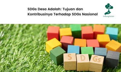 SDGs Desa