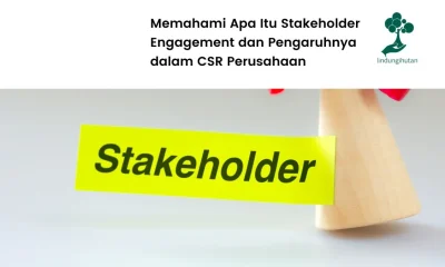 Stakeholder engagement adalah