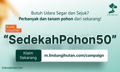 subsidi 50% sedekah pohon di musim penghujan.