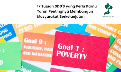 Tujuan SDGS