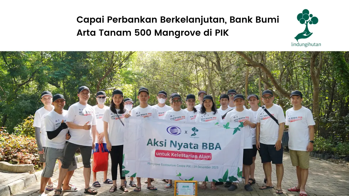 bank bumi arta tanam mangrove di PIK