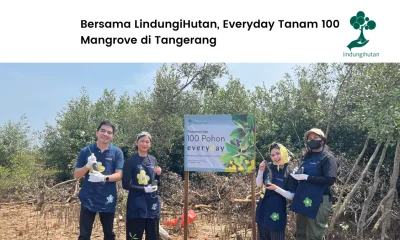 brand fashion everyday tanam mangrove