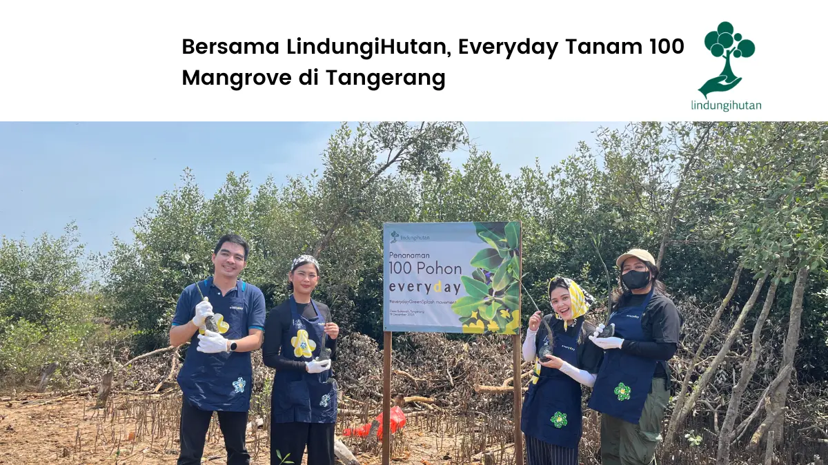 brand fashion everyday tanam mangrove