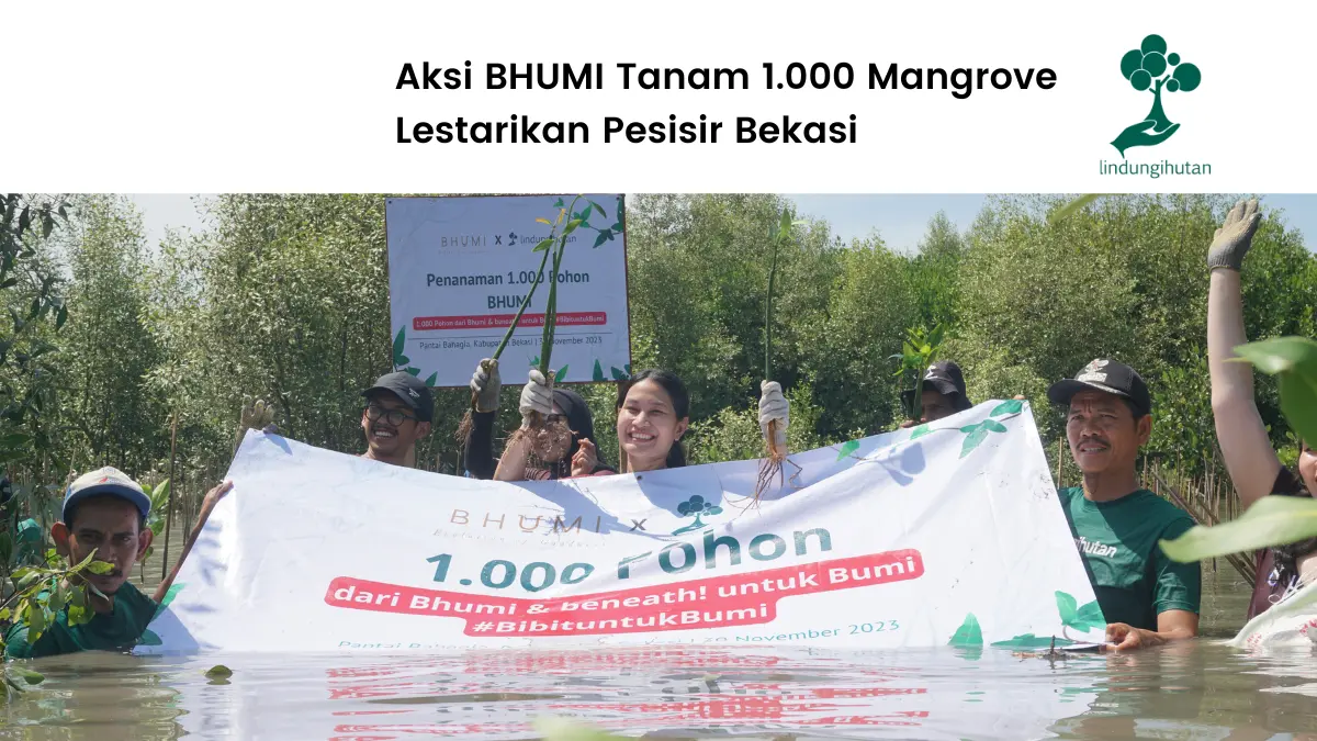 Bhumi tanam mangrove di Bekasi