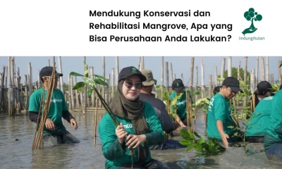 Konservasi hutan mangrove