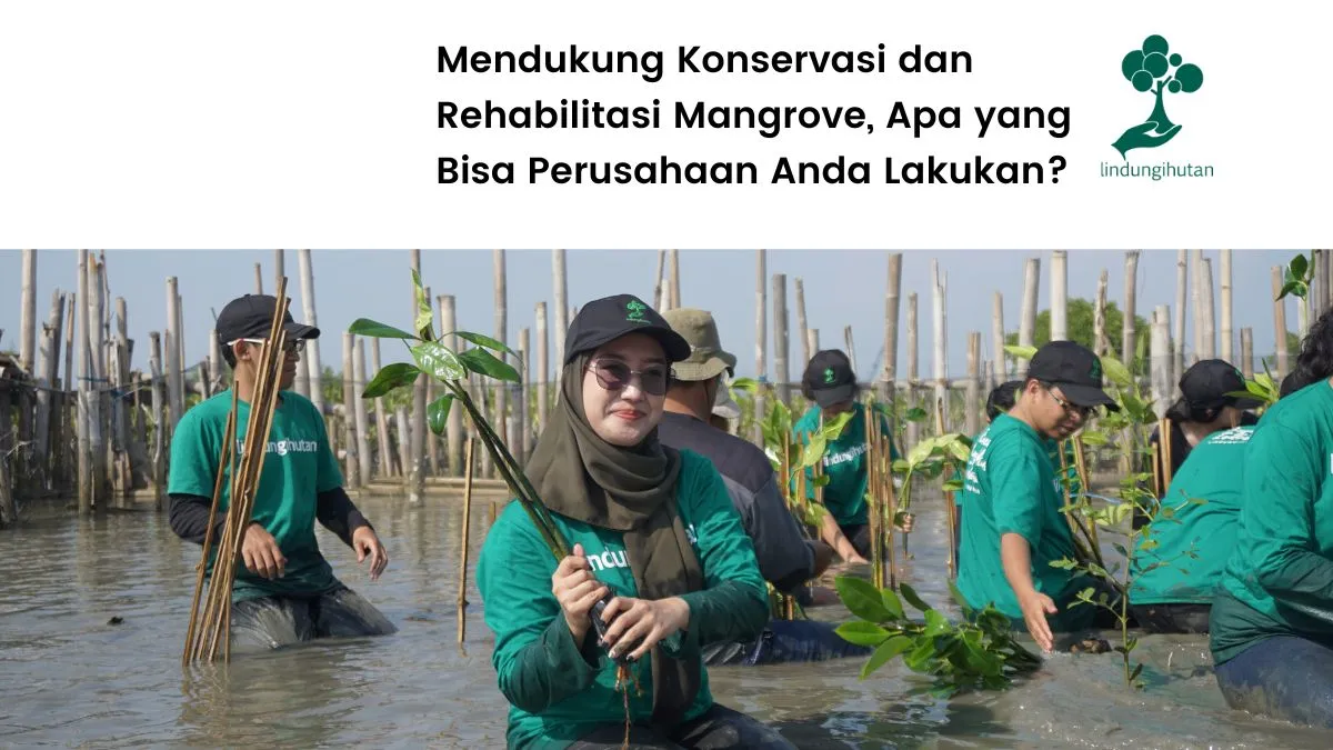 Konservasi hutan mangrove