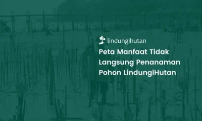 Manfaat menanam mangrove LindungiHutan