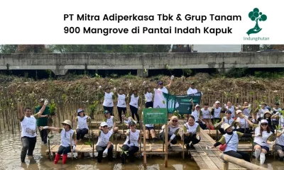 PT Mitra Adiperkasa Tbk