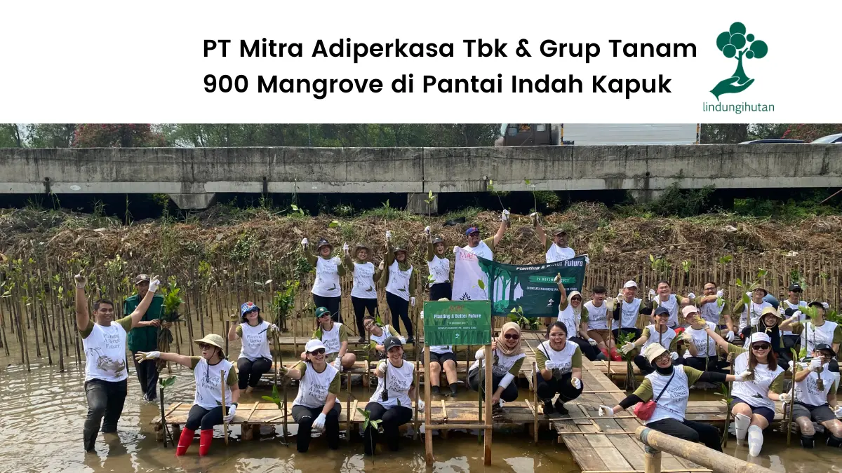 PT Mitra Adiperkasa Tbk