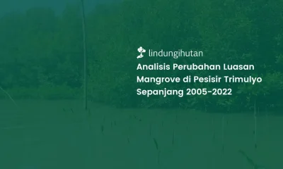 Mangrove Pantai Trimulyo