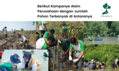 Penghijauan Lingkungan 1