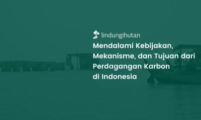 Perdagangan karbon di Indonesia