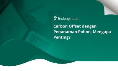 carbon offset