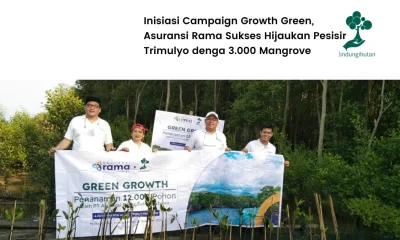Asuransi Rama menanam mangrove 3.000 pohon