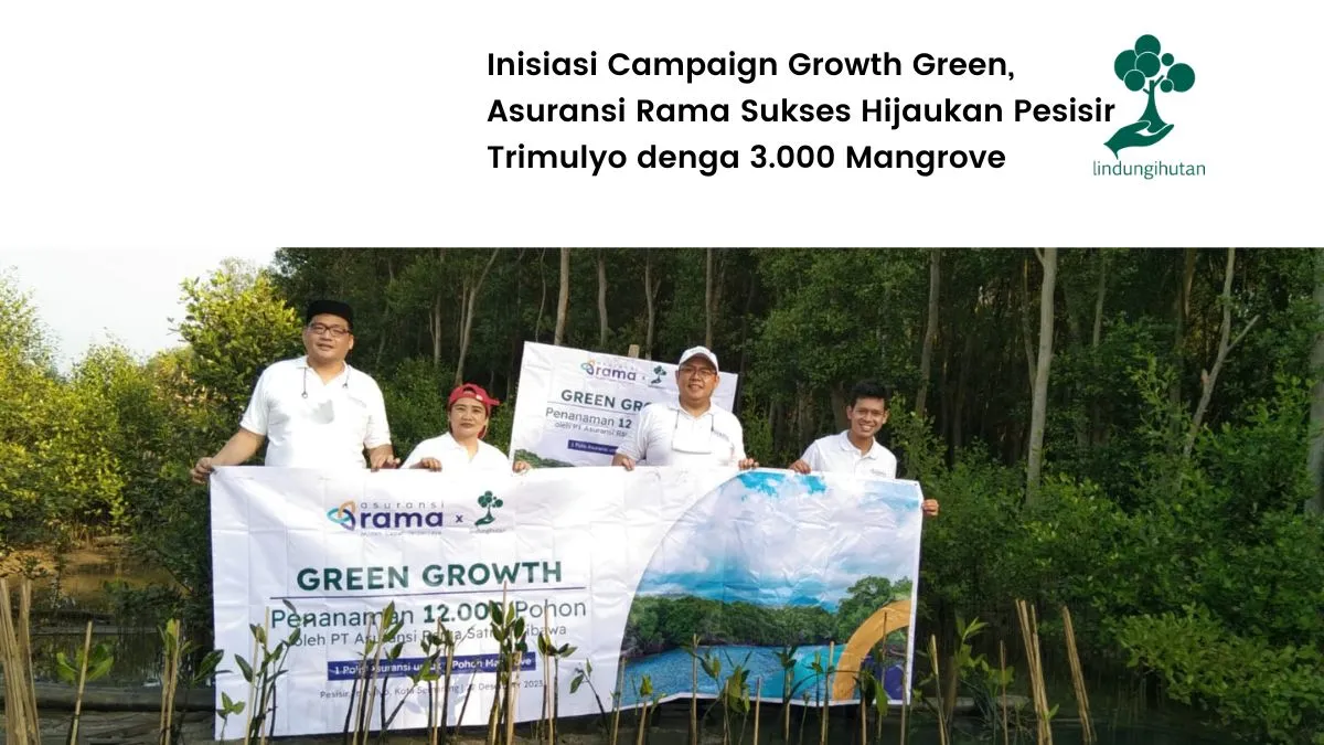 Asuransi Rama menanam mangrove 3.000 pohon