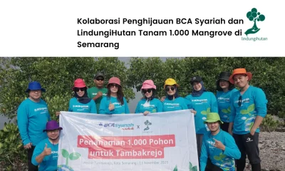 BCA Syariah tanam mangrove
