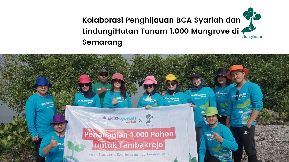 BCA Syariah tanam mangrove