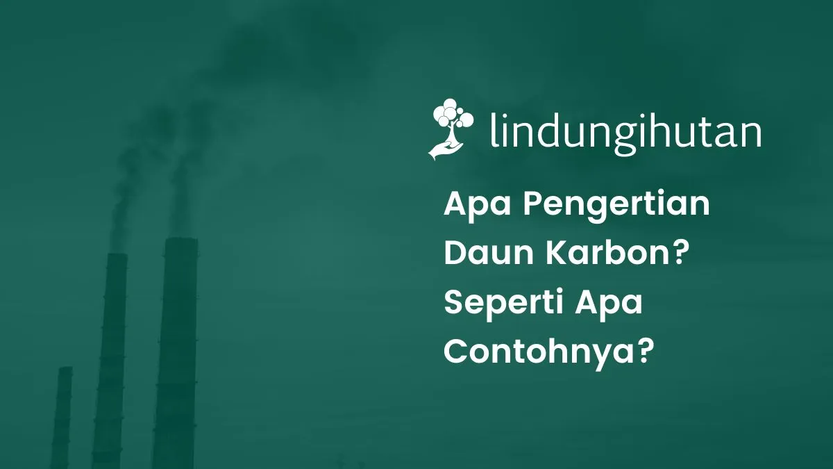 daur karbon adalah