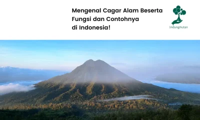 Gambar cagar alam