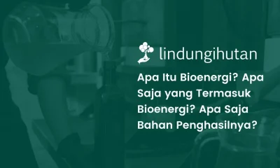 apa yang dimaksud dengan energi bioenergi?