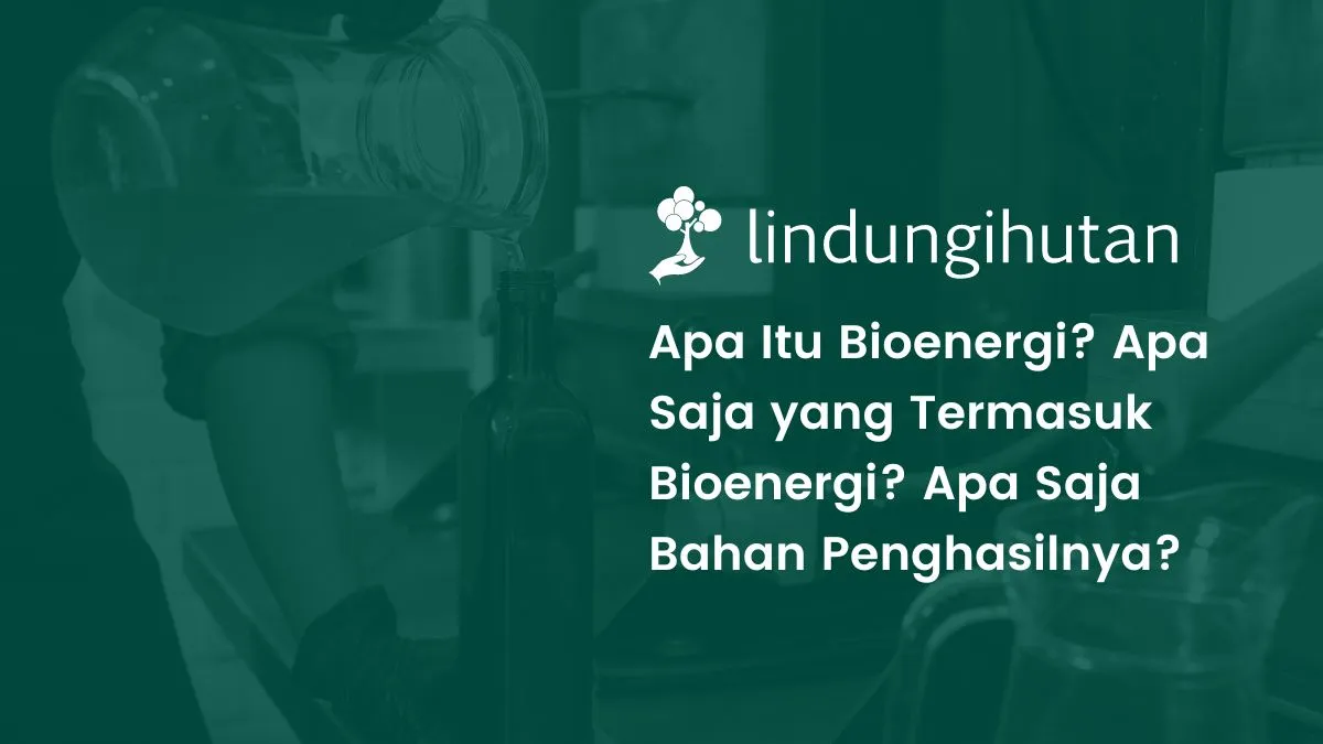 apa yang dimaksud dengan energi bioenergi?