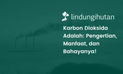 Gambar karbon dioksida