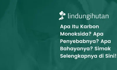 Gambar karbon monoksida