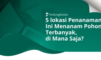 Lokasi Penanaman Pohon LindungiHutan