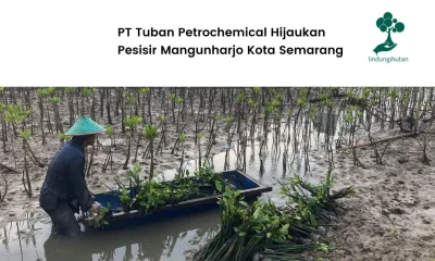 PT-Tuban-Petrochemical