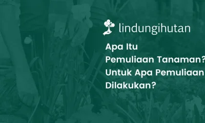 pemuliaan tanaman