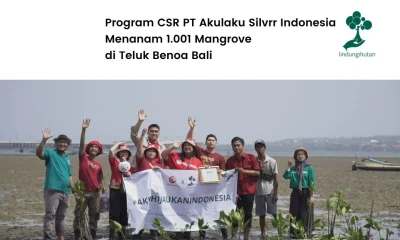 Program penanaman mangrove PT Akulaku Silvrr Indonesia